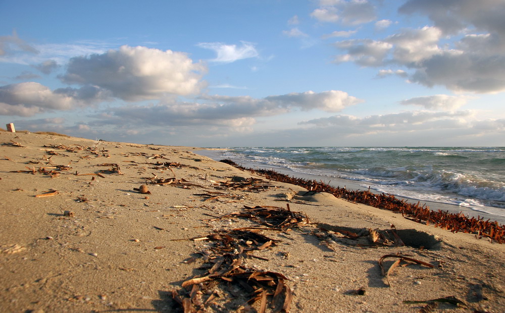 Una giornata d'inverno al mare.