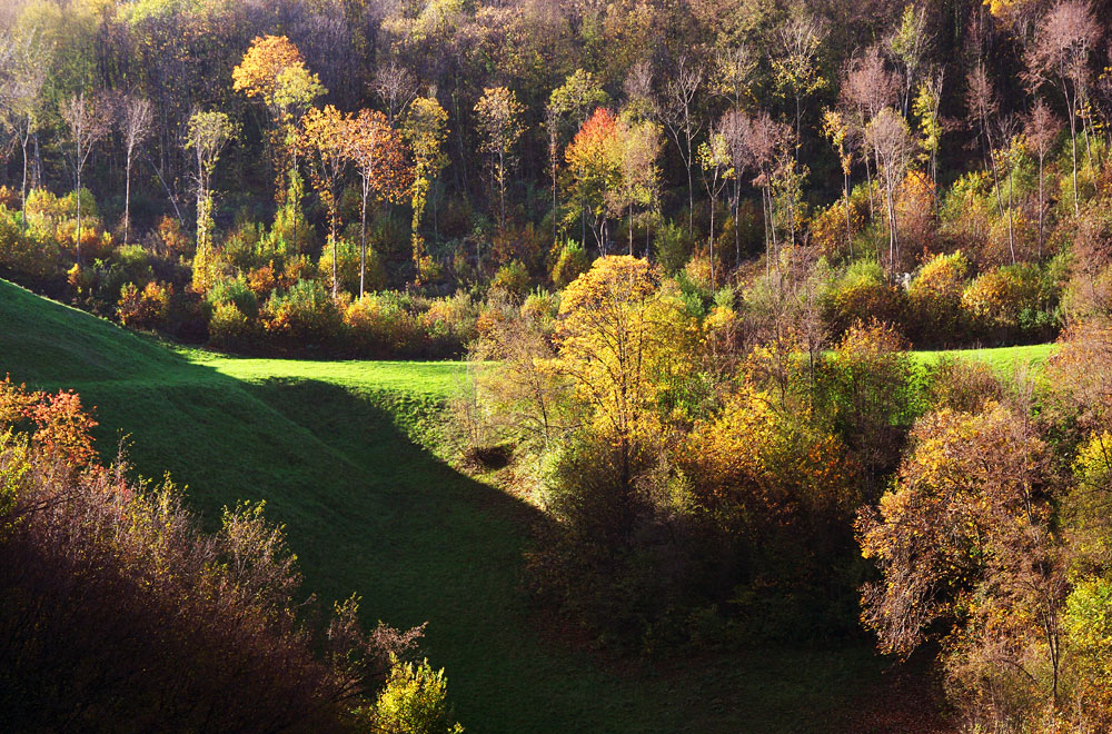 Colli Berici autunnali
