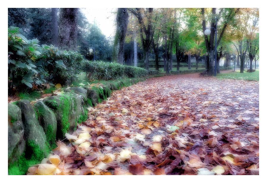 morbido tappeto autunnale