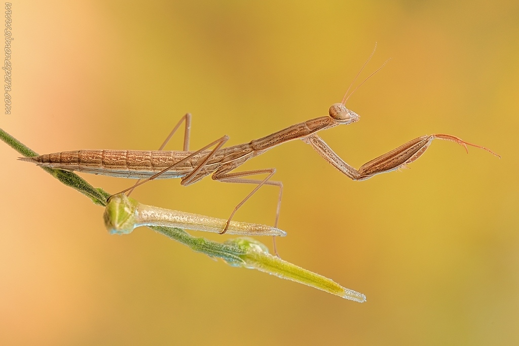 L�....da quella parte....