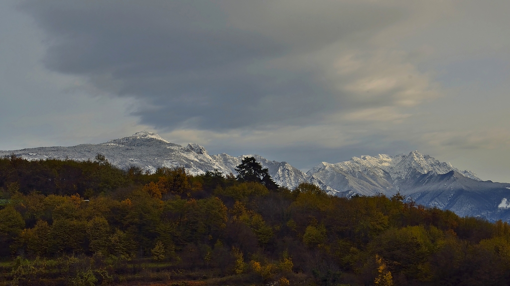 Dall'autunno all'inverno