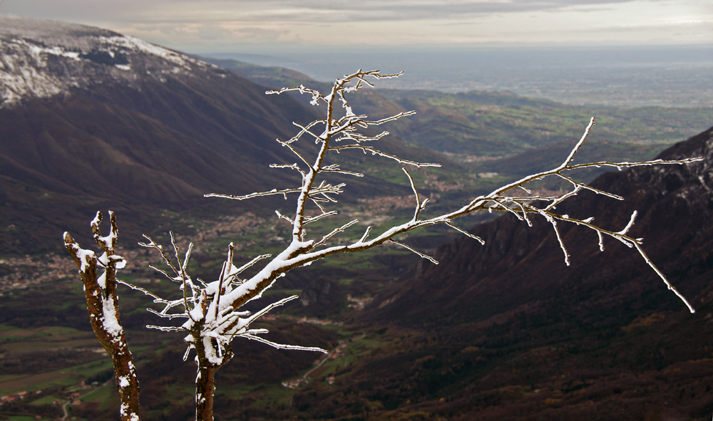 rami con neve e valdastico