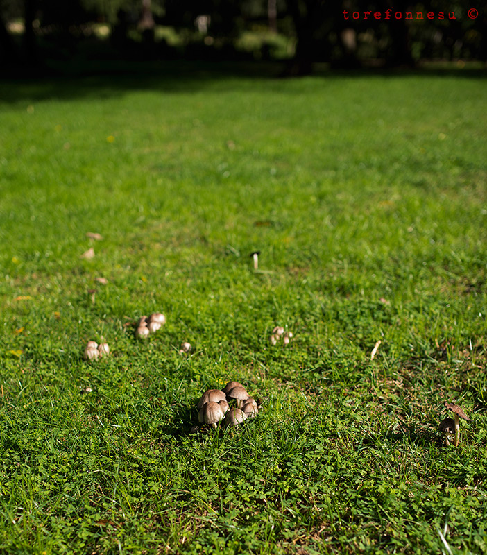 Un peau...beaucoup...*