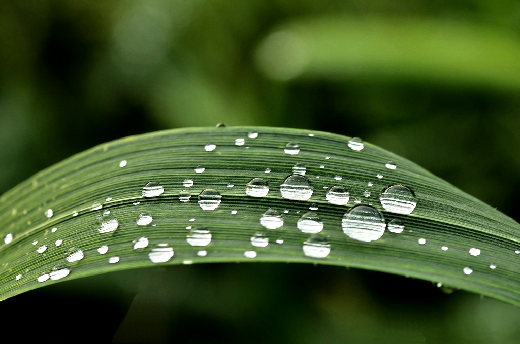 Sistemi solari alieni!!!!