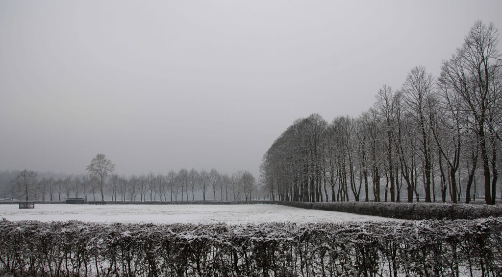 ritorno al -PAESAGGIO-3