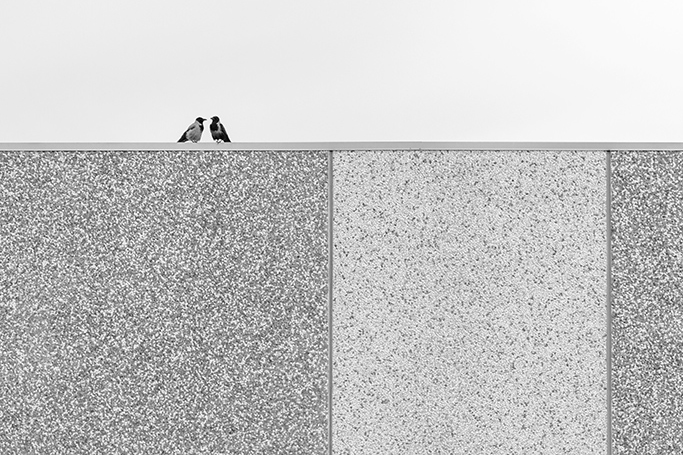 geometrie abitate bn