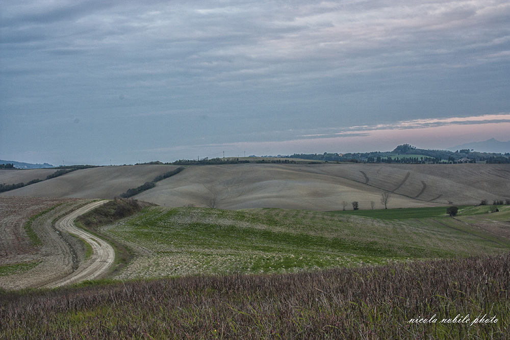 orciano paesaggio 1