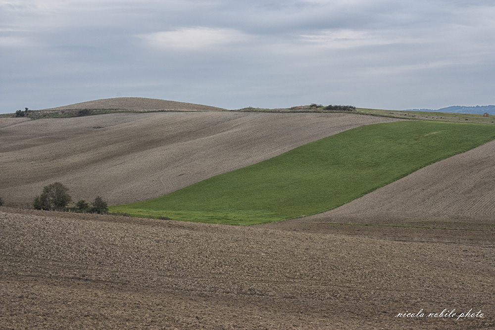 orciano paesaggio 2