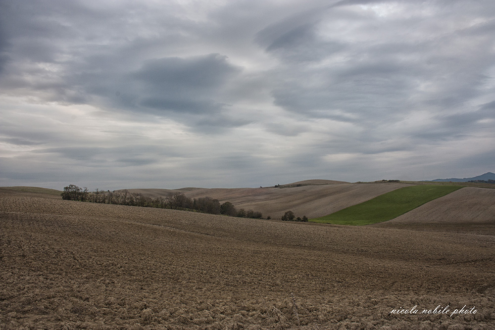 orciano paesaggio 3
