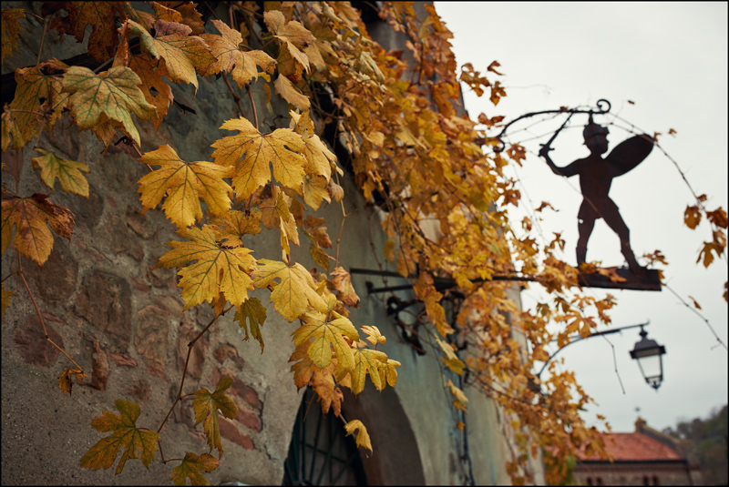 Autunno ad Arqu� Petrarca