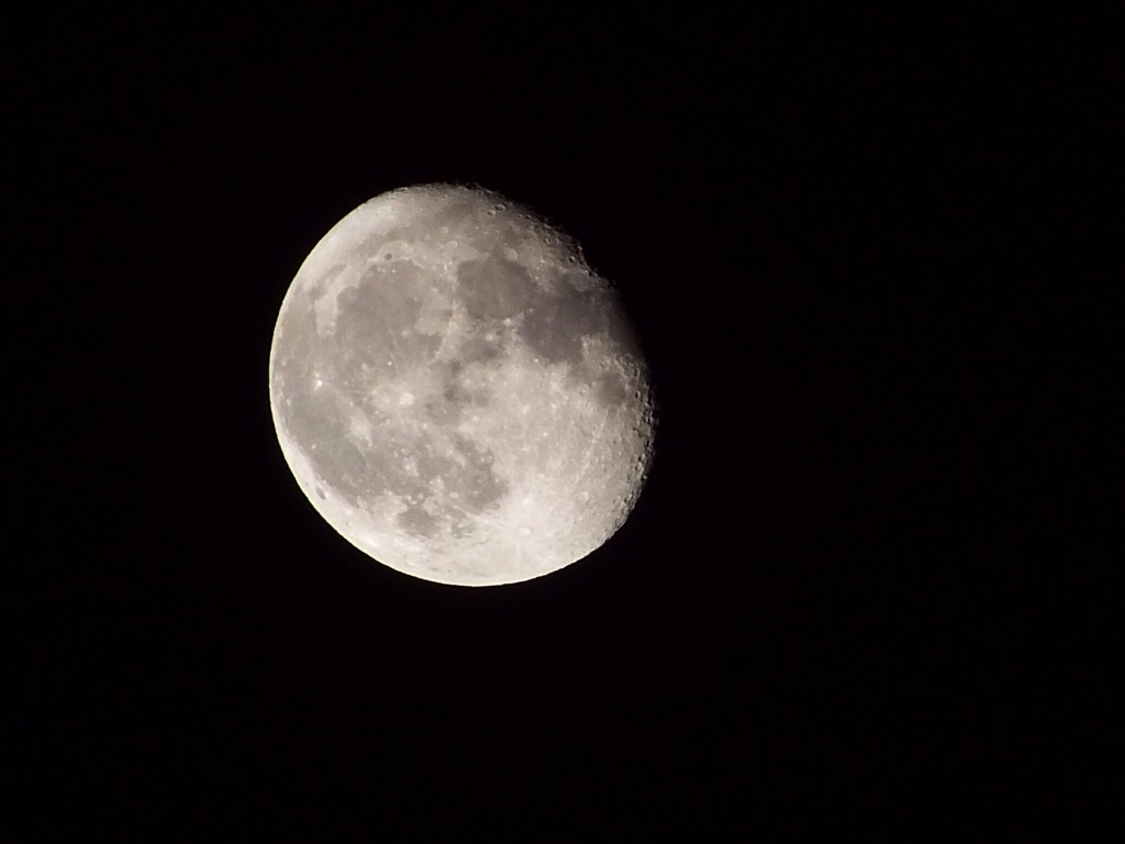 La mia prima luna
