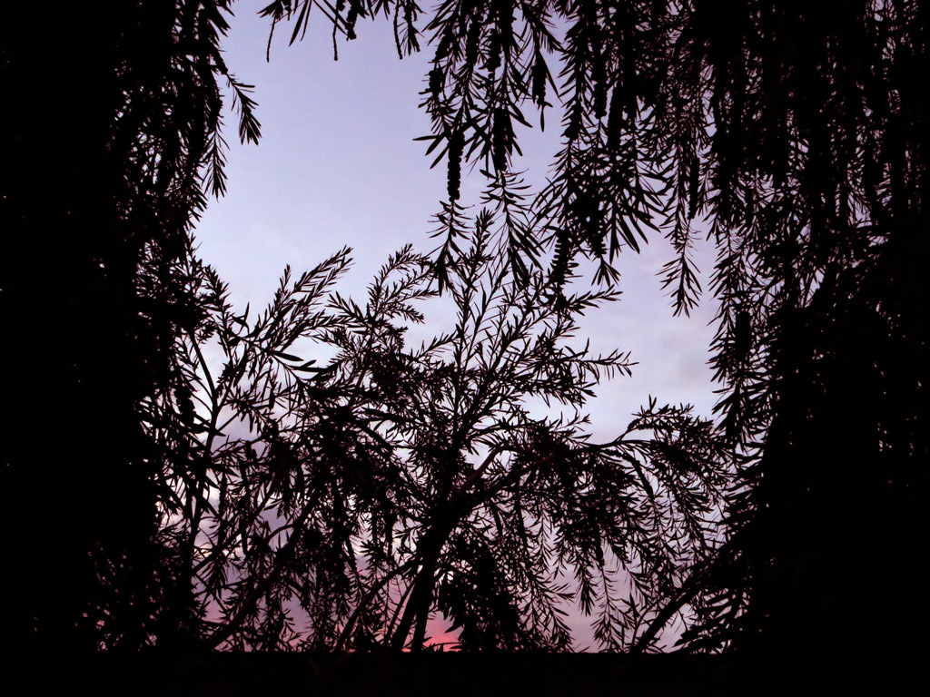 Una finestra sul cielo..