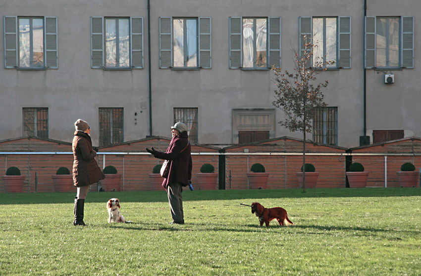 Incontro al parco