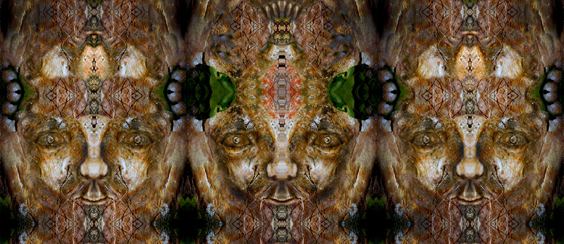 Pietra di Calci � 2013