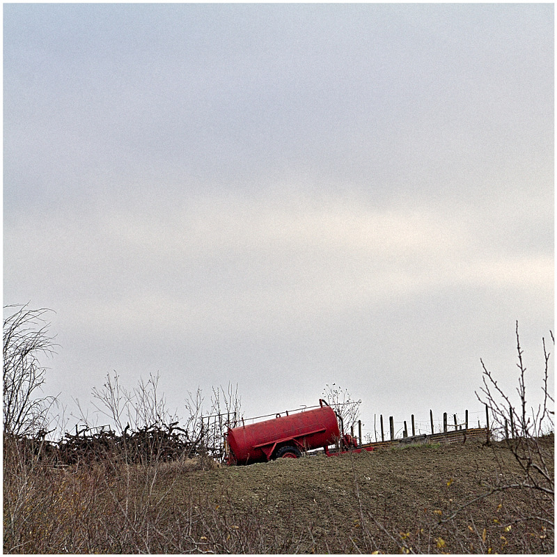 natura morta - a6857