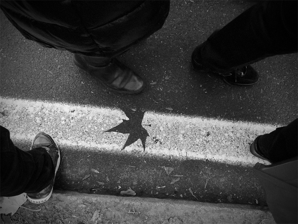 Insensibili alle foglie