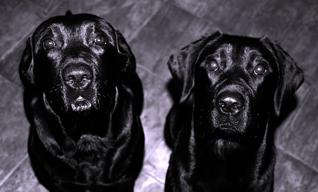 .....THE UNTITLED.....