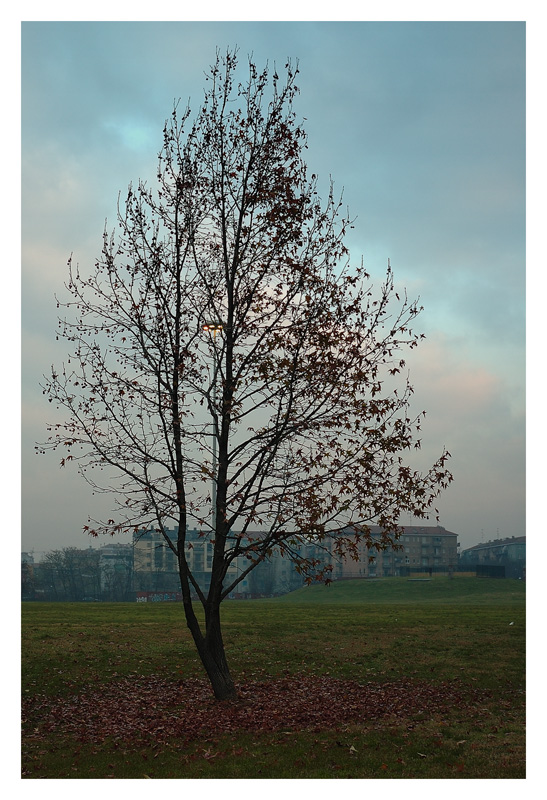 Cittadino solo d'inverno