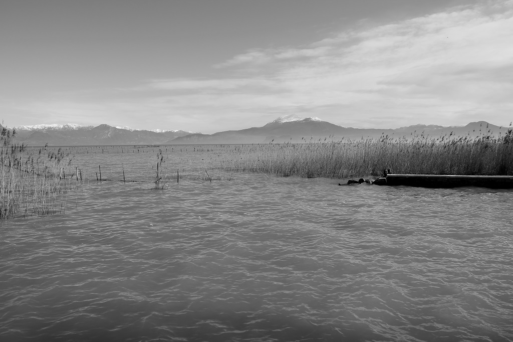 Orizzonte di montagne