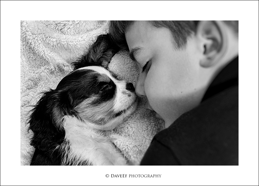 in each other's dreams