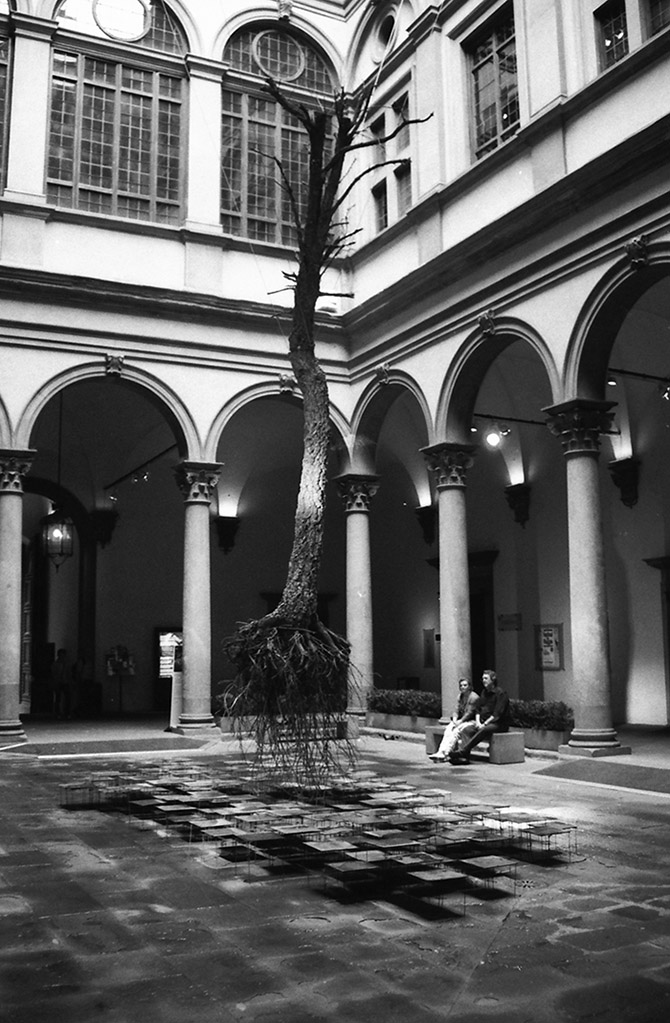 D� fragilit� potenza