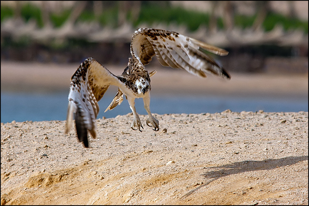 Mi devo preoccupare ????