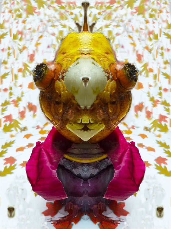 l'anno che se ne va  # 2 #