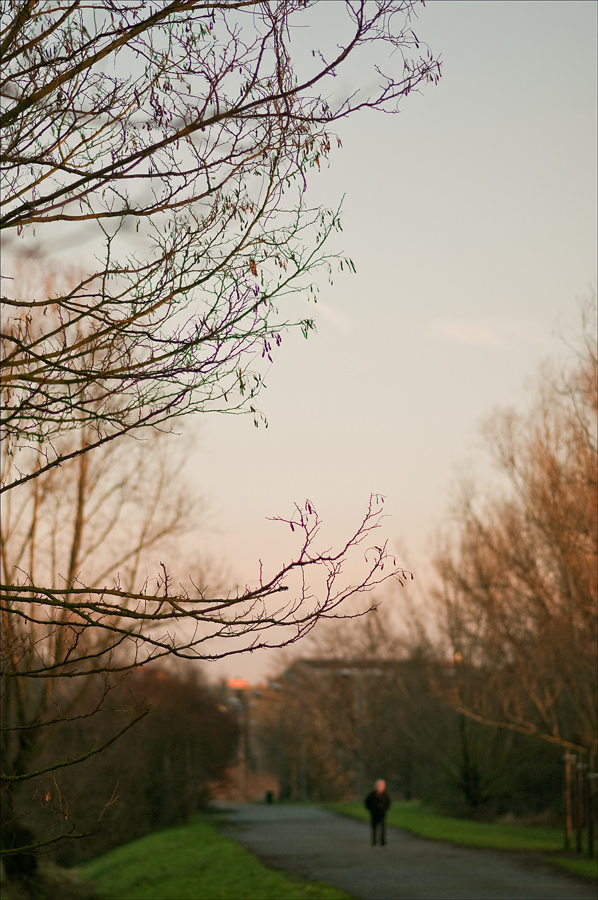 Solitudine Invernale