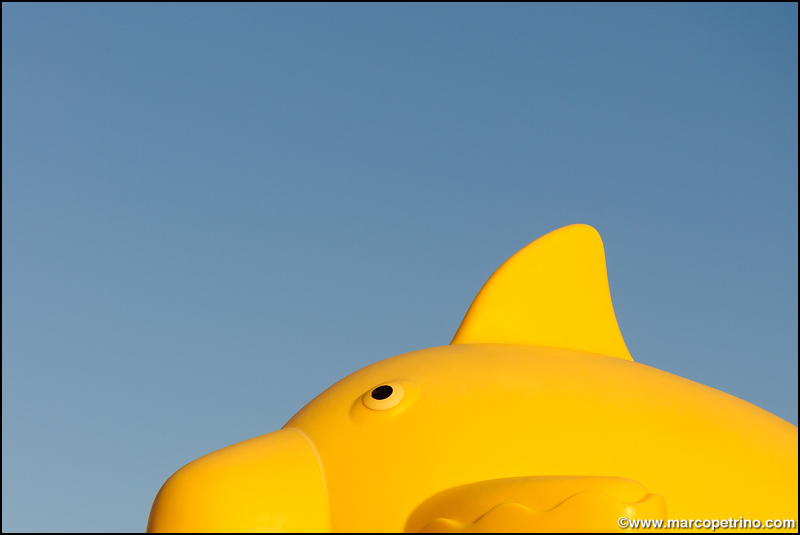 giallo, rosso, bianco & azzurro