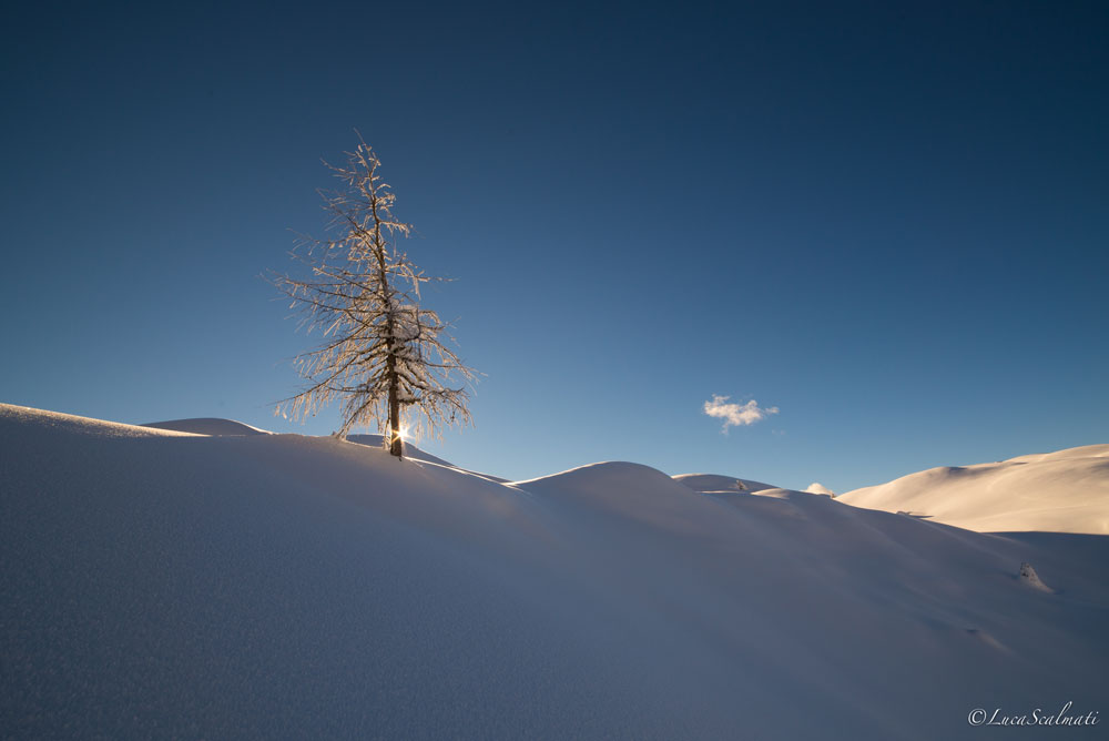 Minimal Mountain