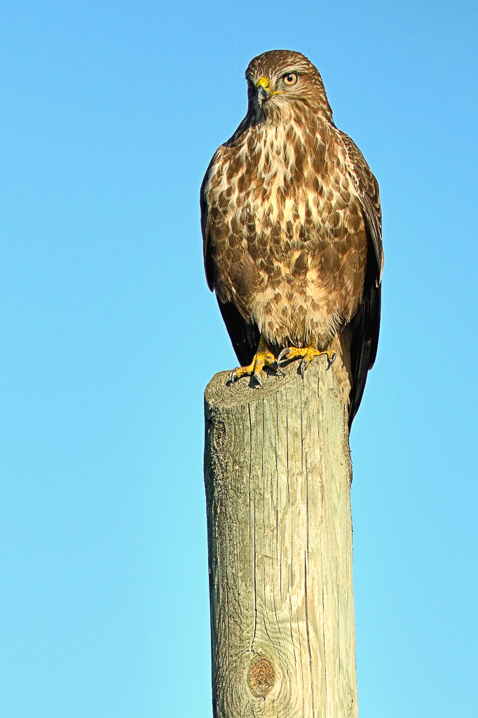 Il primo post del 2014