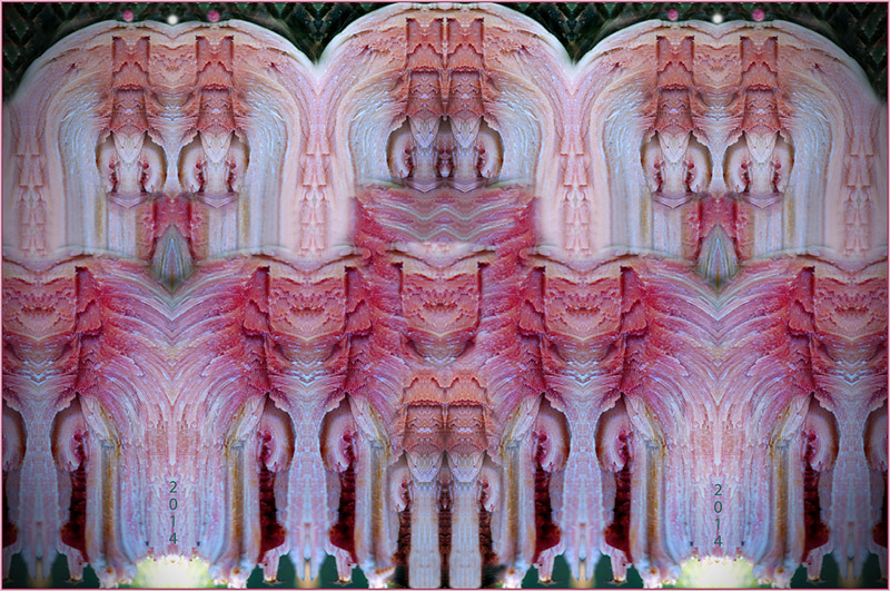 Immagine prima � 2014