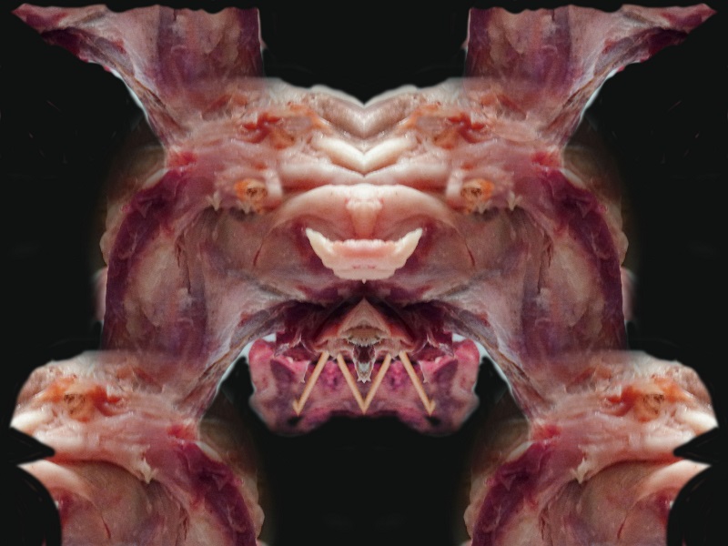 nelle favole per i pi� grandicelli-----