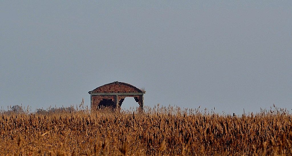 Sacca di Scardovari Delta del Po (RO)