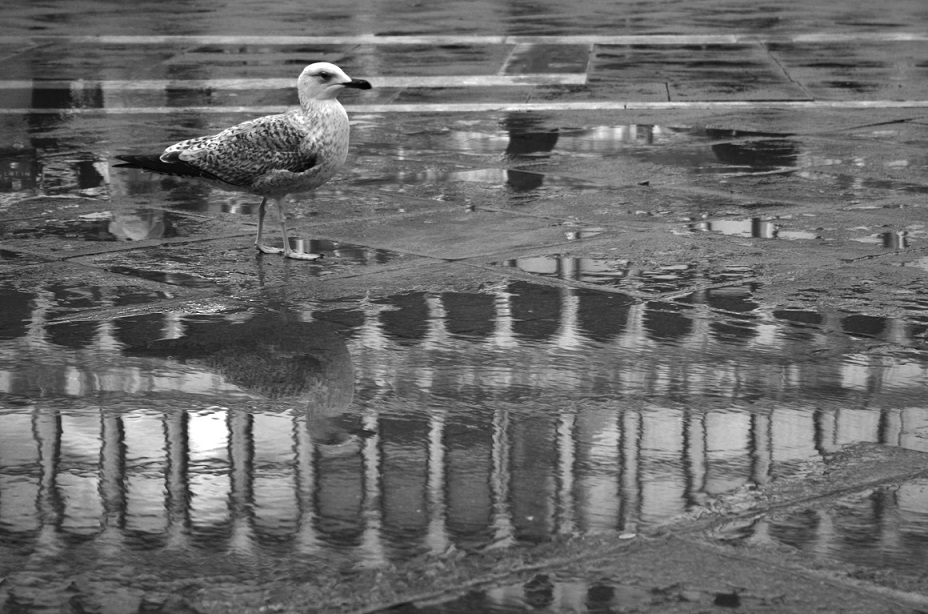Venezia... a modo mio!