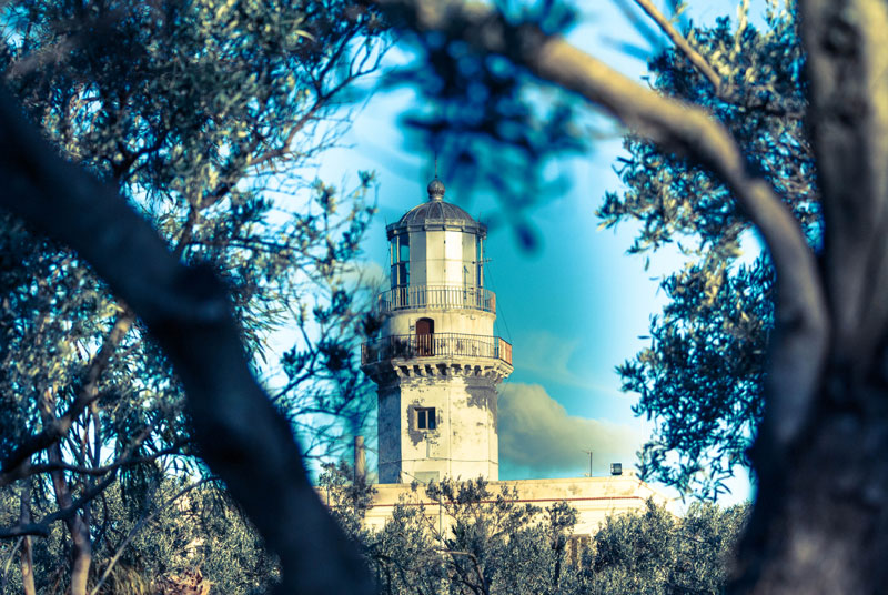 faro