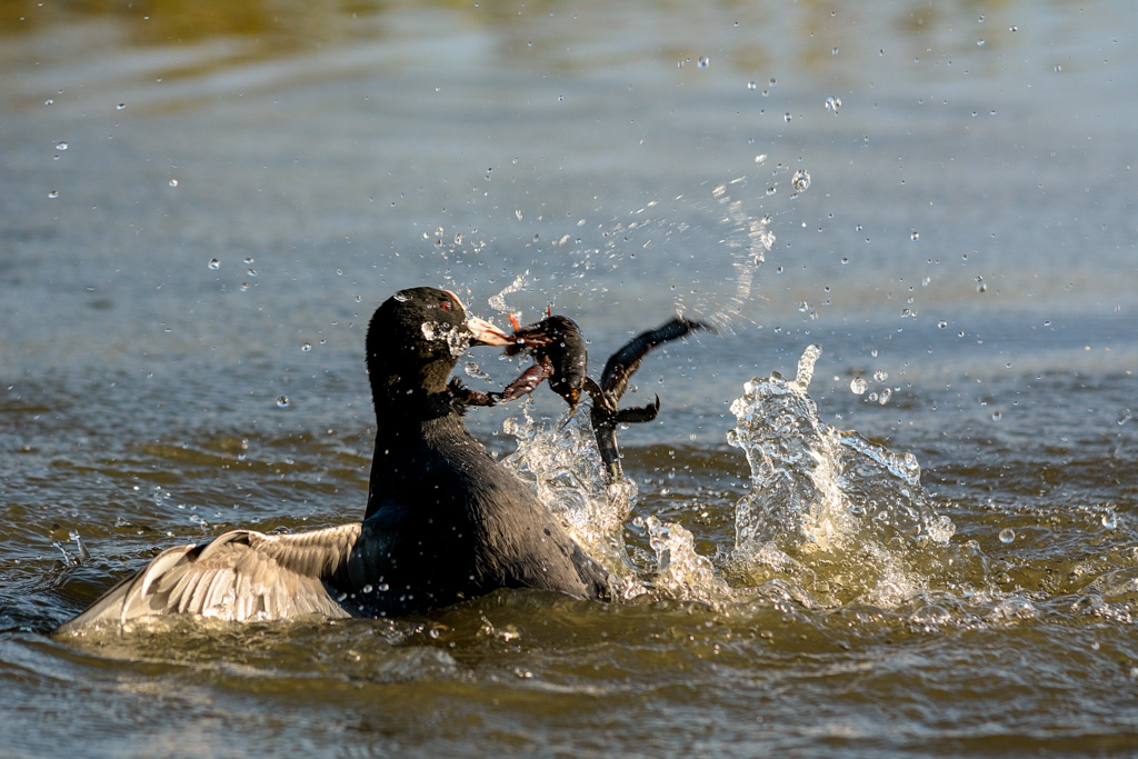 Istinto di sopravvivenza