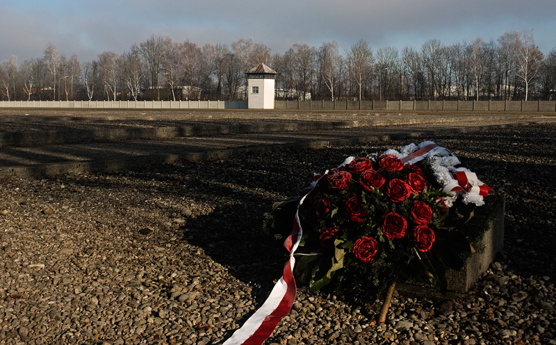dachau 10