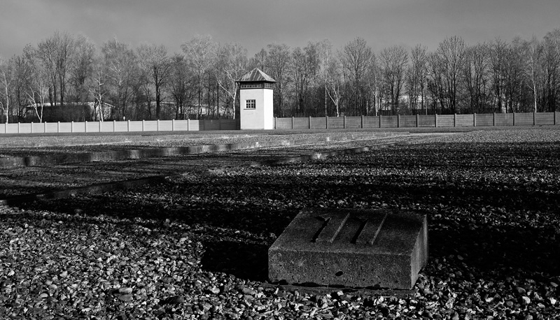 dachau 11