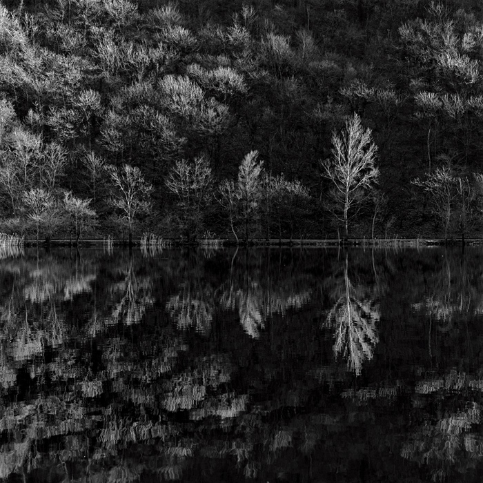 pedante ricerca tonale