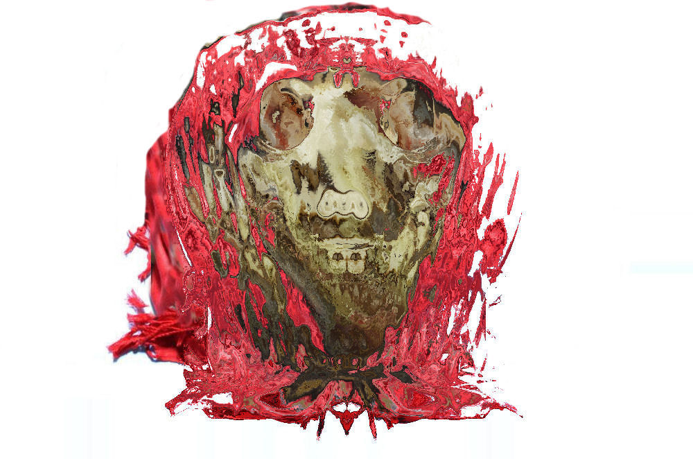 ..........si fa bella !