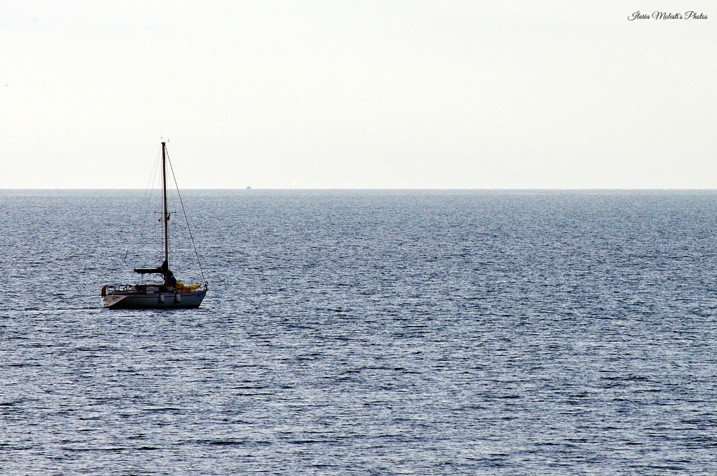 Fin che la barca va..!!