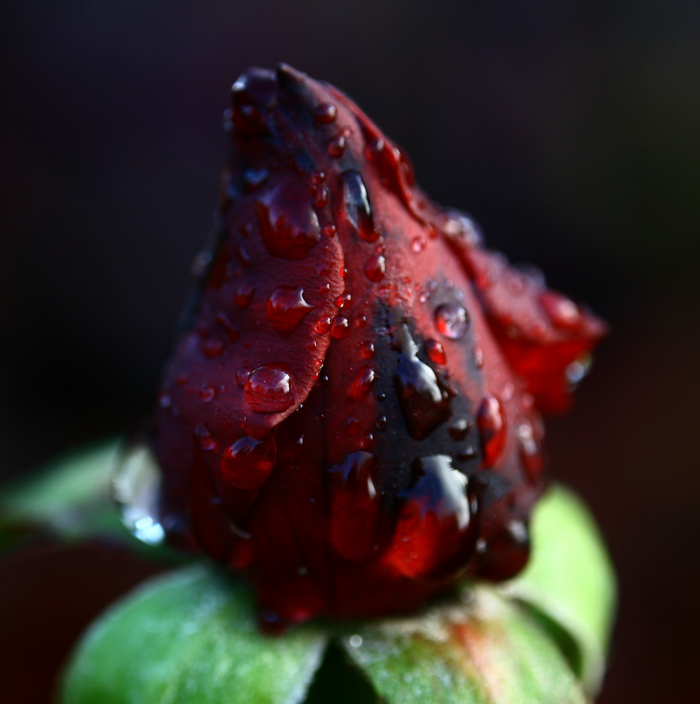 segni di primavera 3