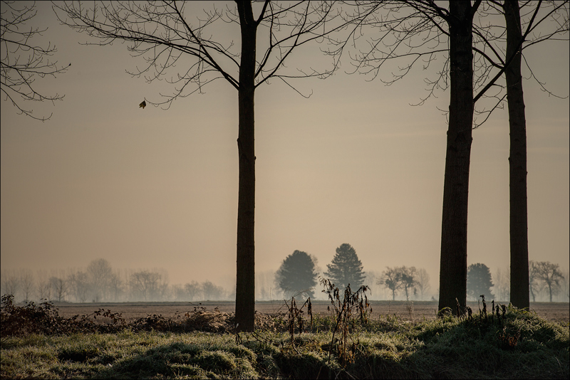 E qualcosa rimane...