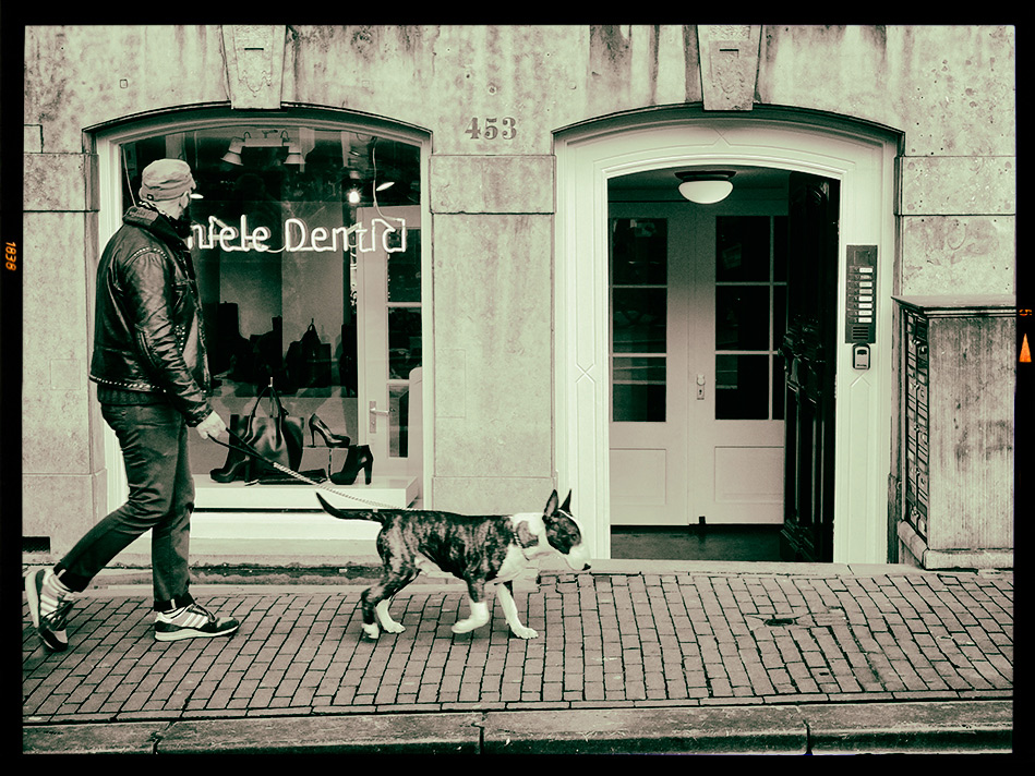 Dog walking@Amsterdam