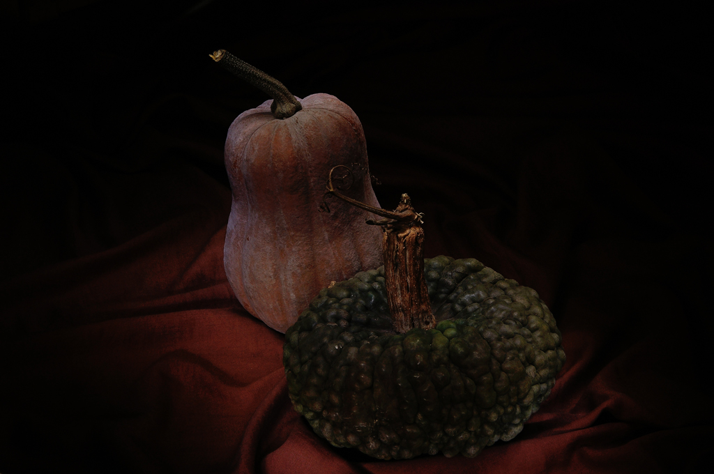 Giocando con due zucche