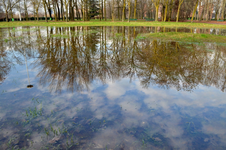 Dopo la pioggia [ serie ... ]