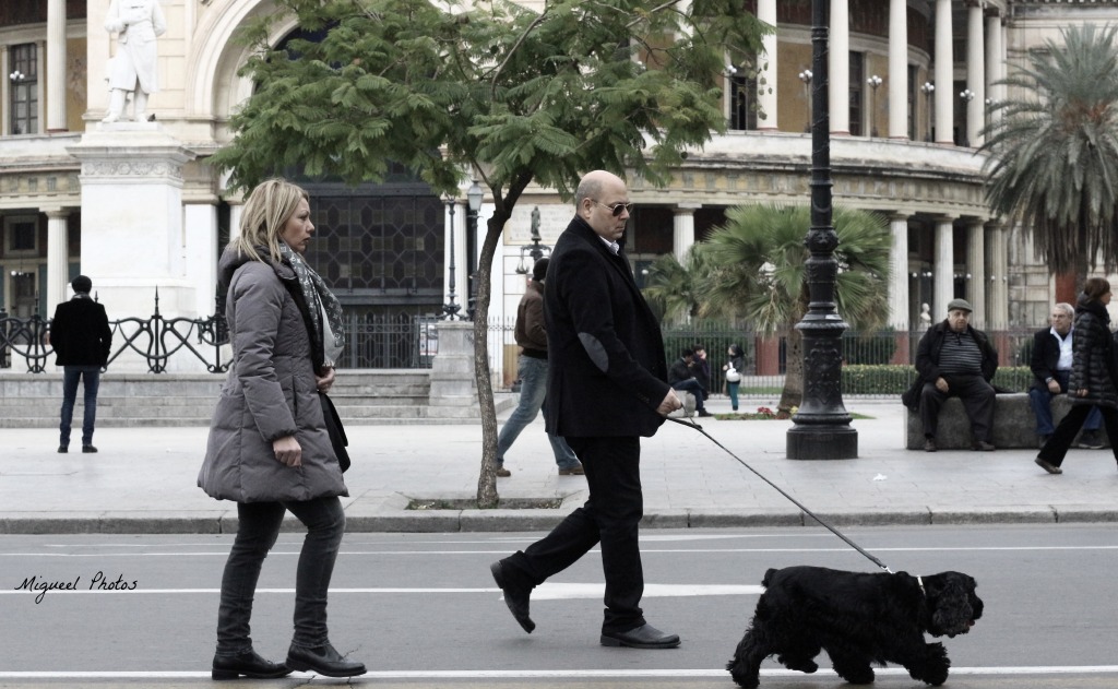 A spasso con i padroni