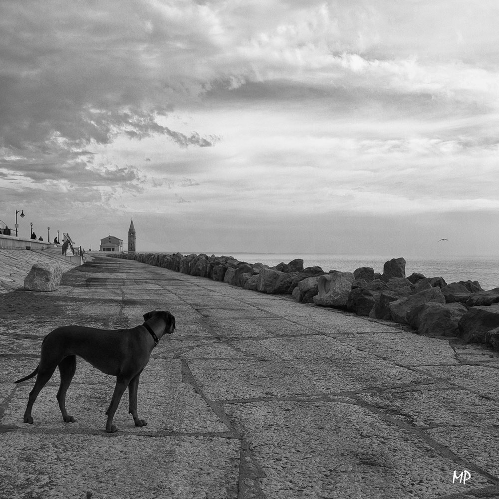 street photography #10#