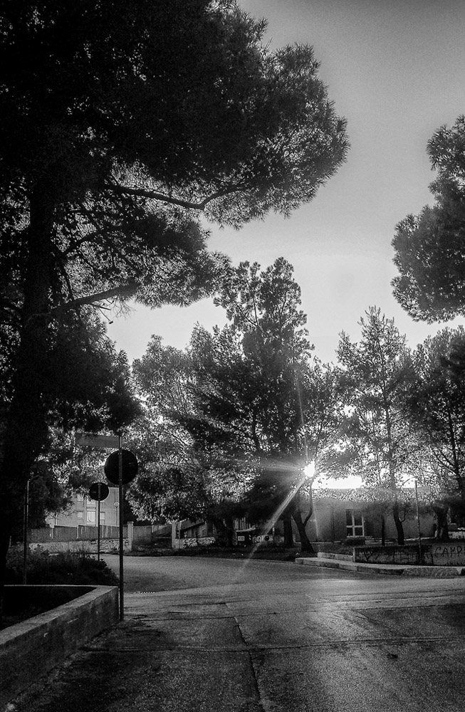 Abbandonato al tramonto 2